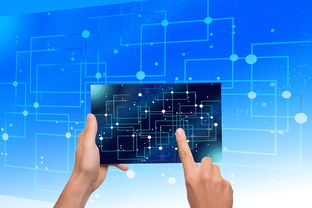 乐鱼体育下载-中国篮球教练员执教能力提升路径研究，中国篮球教练员岗位培训a级教程书籍