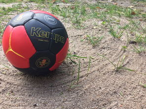 乐鱼体育官网注册-英超球队基于运动表现数据调整赛中体能分配策略，英超球队规则