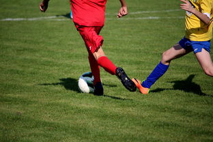 乐鱼体育直播在线-国家队与俱乐部之间协调机制为何不顺畅，国家队比赛和俱乐部比赛冲突