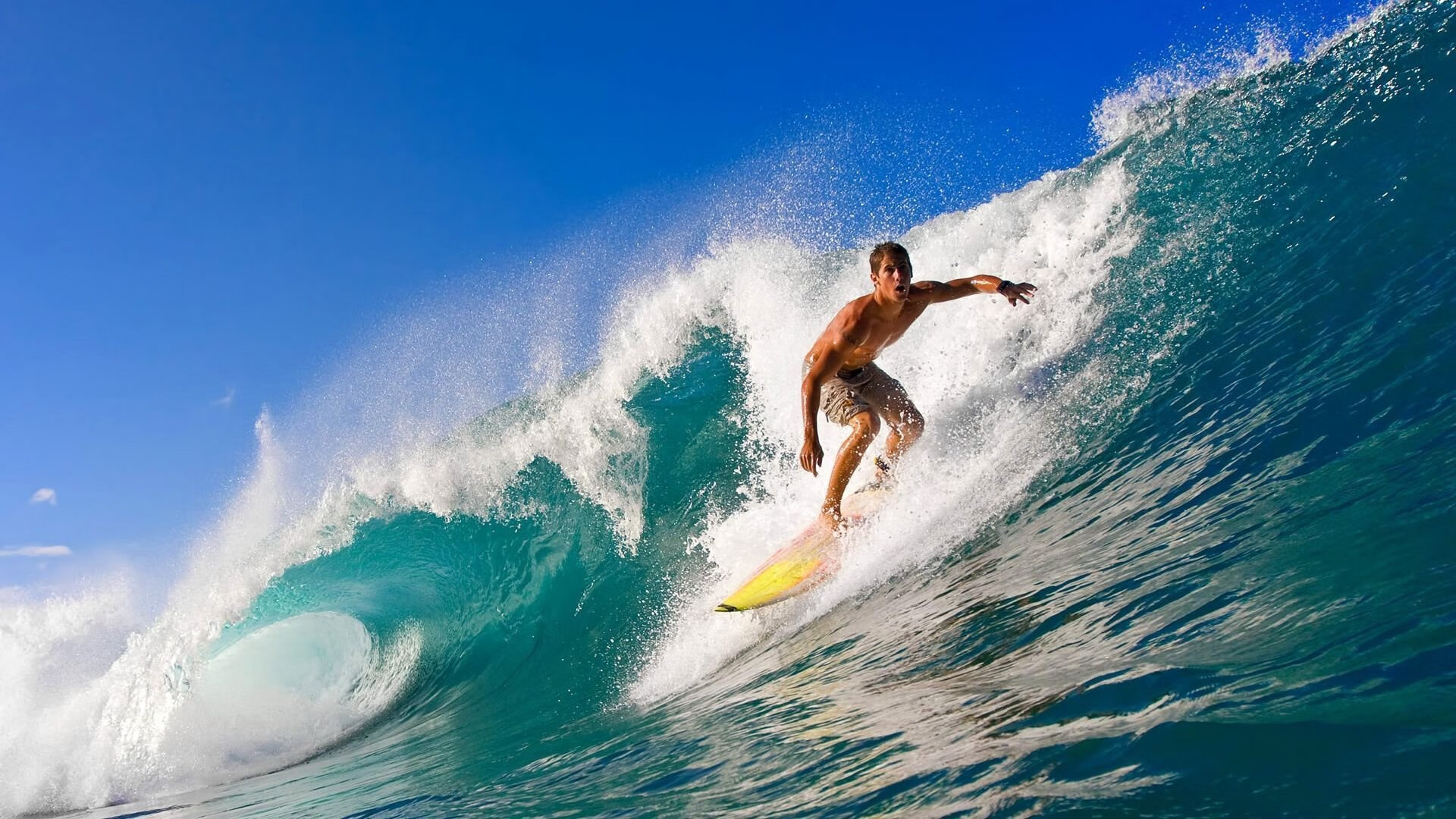 乐鱼体育app官网入口-球星在不同节奏下的表现是否一致，各球星的区域