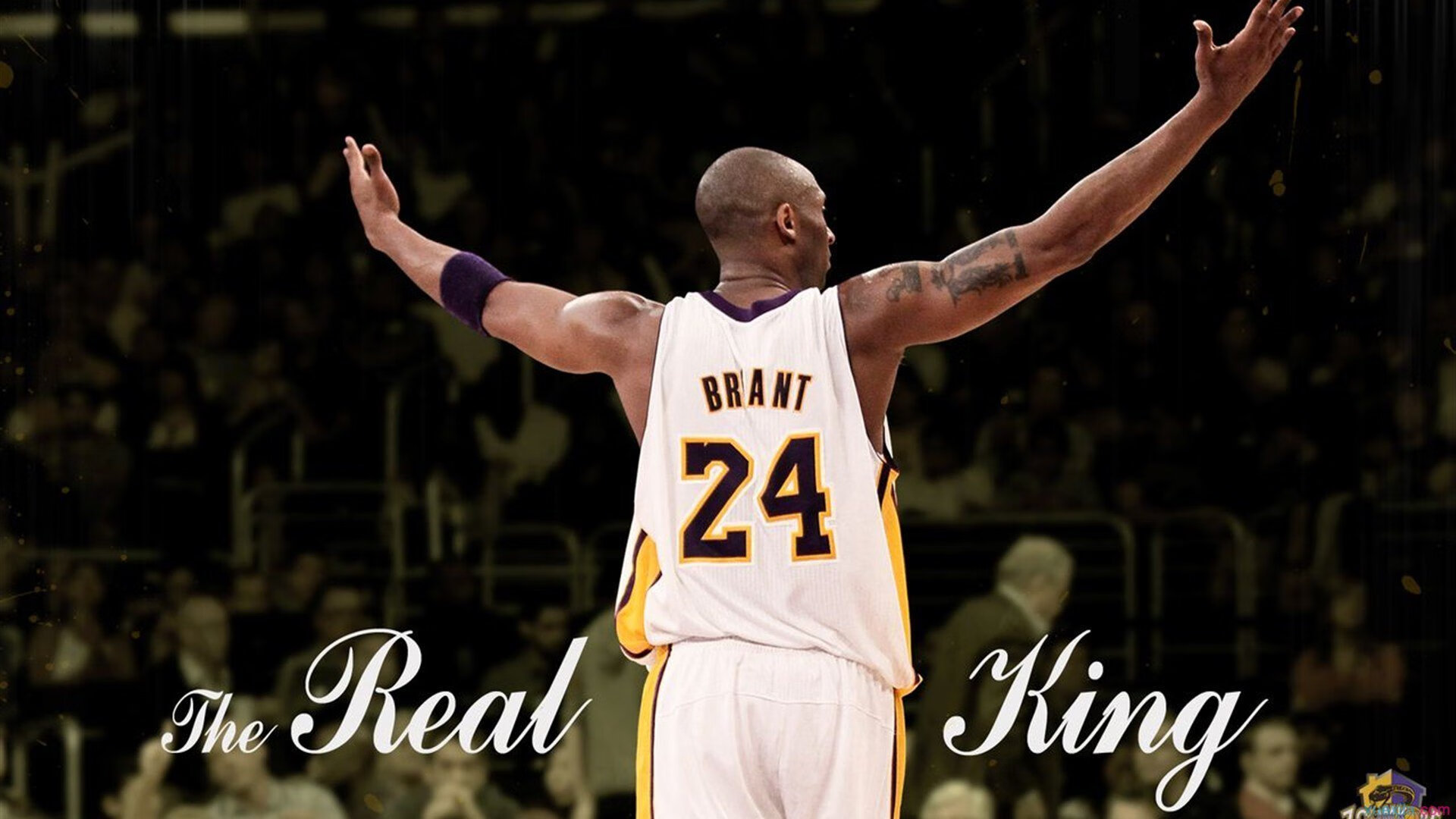 该项目冲刺划频提升带动最终名次，项目冲刺阶段