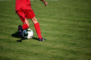 乐鱼体育在线网站-中国足球青年联赛系统标准化形态剖析，全国足球青年联赛